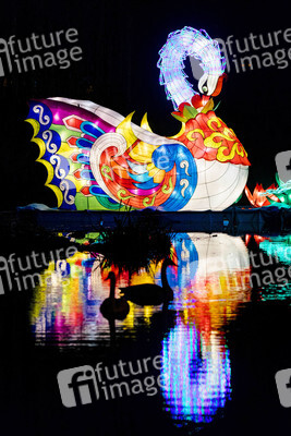 China-Light-Festival in Köln