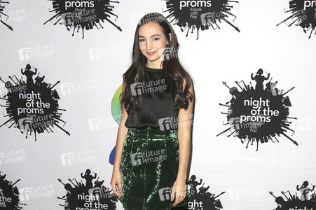 Photocall 'Night of the Proms 2017' in Hamburg