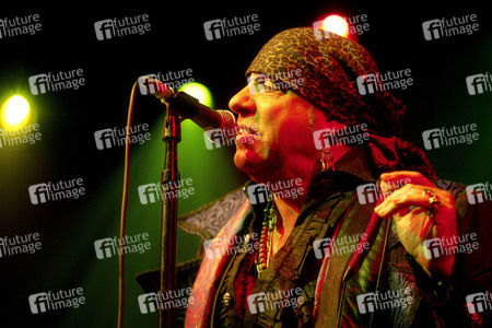 Konzert von Little Steven and the Disciples of Soul in Berlin