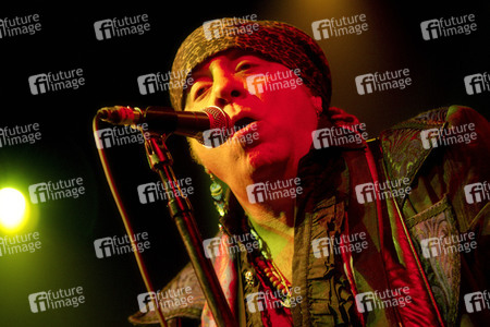 Konzert von Little Steven and the Disciples of Soul in Berlin