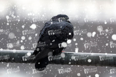 Symbolfoto Schneefall