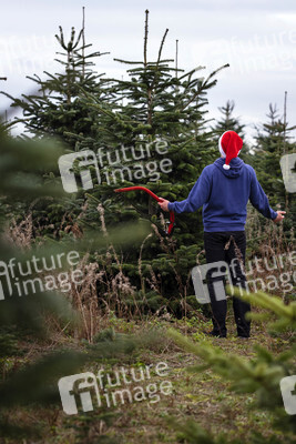 Symbolfoto Tannenbaum