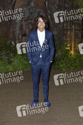 Filmpremiere 'Jumanji: Willkommen im Dschungel' in Los Angeles