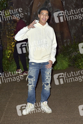 Filmpremiere 'Jumanji: Willkommen im Dschungel' in Los Angeles