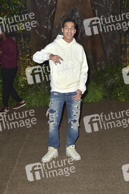 Filmpremiere 'Jumanji: Willkommen im Dschungel' in Los Angeles