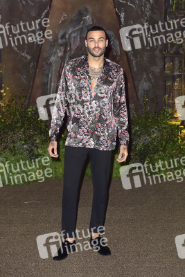 Filmpremiere 'Jumanji: Willkommen im Dschungel' in Los Angeles