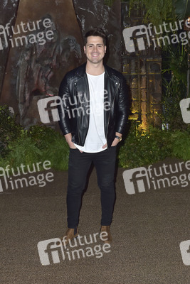 Filmpremiere 'Jumanji: Willkommen im Dschungel' in Los Angeles
