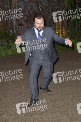 Filmpremiere 'Jumanji: Willkommen im Dschungel' in Los Angeles
