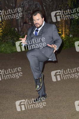 Filmpremiere 'Jumanji: Willkommen im Dschungel' in Los Angeles