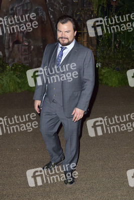 Filmpremiere 'Jumanji: Willkommen im Dschungel' in Los Angeles