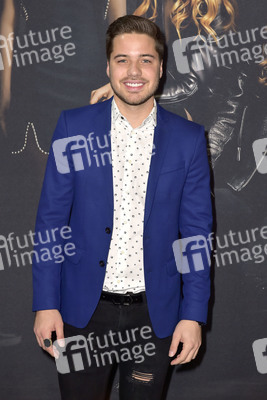 Filmpremiere 'Pitch Perfect 3' in Los Angeles