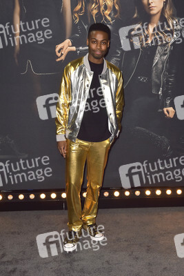 Filmpremiere 'Pitch Perfect 3' in Los Angeles