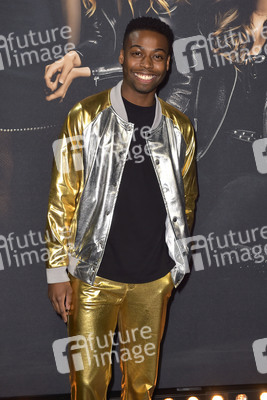 Filmpremiere 'Pitch Perfect 3' in Los Angeles