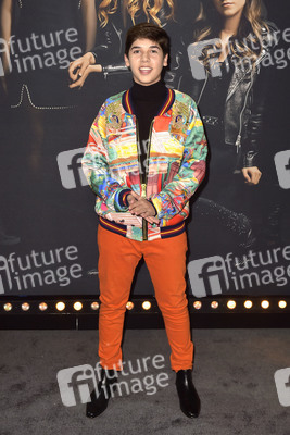 Filmpremiere 'Pitch Perfect 3' in Los Angeles