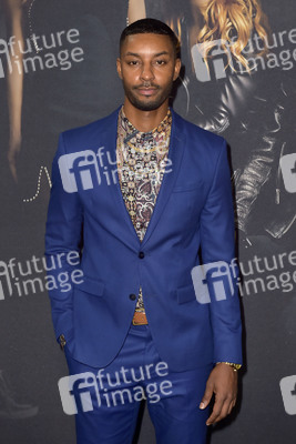 Filmpremiere 'Pitch Perfect 3' in Los Angeles