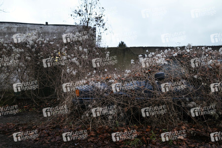 Symbolfoto Abwrackprämie