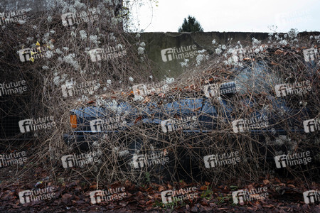 Symbolfoto Abwrackprämie
