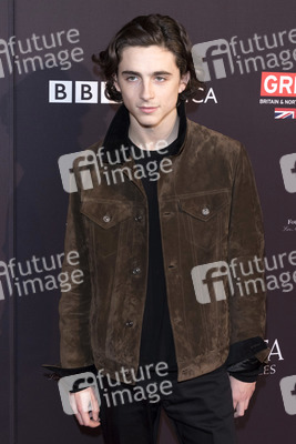 BAFTA Los Angeles Awards Season Tea Party in Beverly Hills