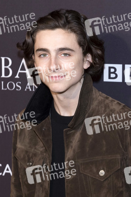 BAFTA Los Angeles Awards Season Tea Party in Beverly Hills