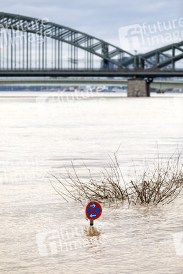 Hochwasser in Köln