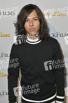 Filmpremiere 'Bachelor Lions' in Los Angeles