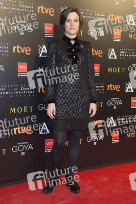 Treffen der Nominierten der 32. Goya Filmpreis Verleihung in Madrid
