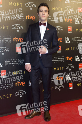 Treffen der Nominierten der 32. Goya Filmpreis Verleihung in Madrid