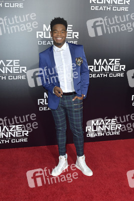 Fan-Screening 'Maze Runner - Die Auserwählten in der Todeszone' in Los Angeles