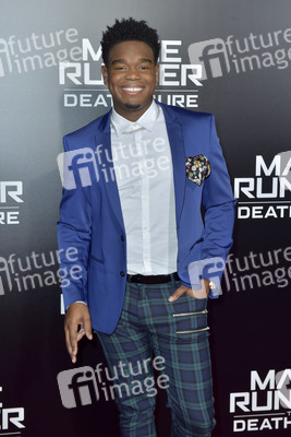 Fan-Screening 'Maze Runner - Die Auserwählten in der Todeszone' in Los Angeles