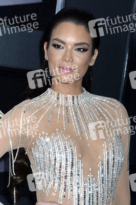 60. Grammy Awards in New York