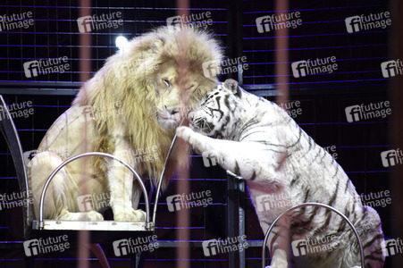 Premiere der 2. Winterspielzeit 2018 des Circus Krone in München