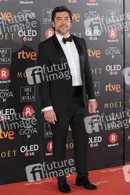 Goya Awards 2018 in Madrid