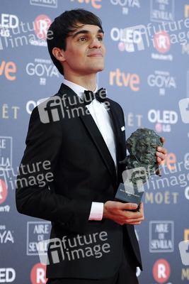 Goya Awards 2018 in Madrid
