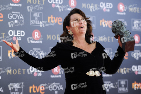 Goya Awards 2018 in Madrid