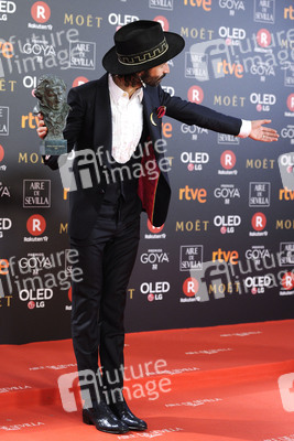 Goya Awards 2018 in Madrid