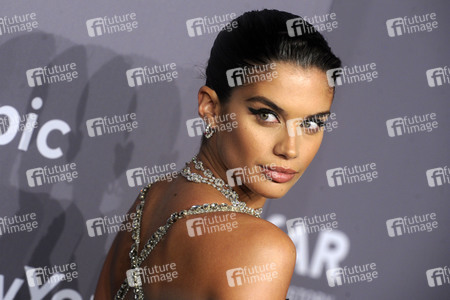 amfAR New York Gala 2018