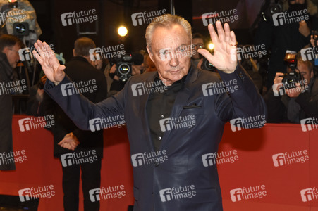 'Don't Worry, He Won't Get Far on Foot' Premiere, Berlinale 2018