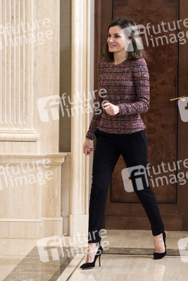 Audienz mit Königin Letizia in Madrid
