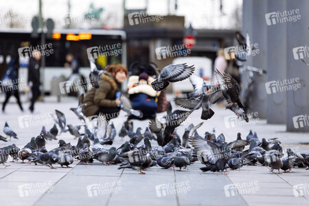 Symbolfoto Stadttauben