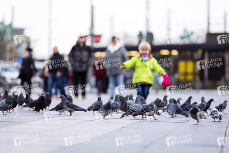 Symbolfoto Stadttauben