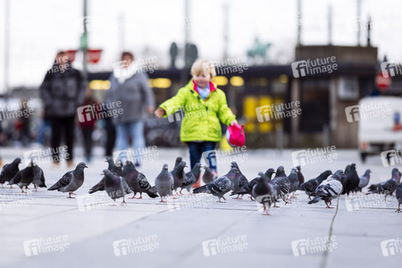 Symbolfoto Stadttauben
