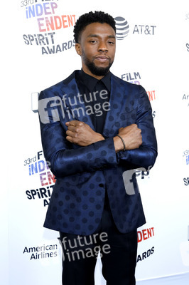 Film Independent Spirit Awards 2018 in Santa Monica