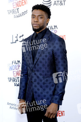 Film Independent Spirit Awards 2018 in Santa Monica