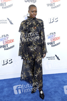 Film Independent Spirit Awards 2018 in Santa Monica