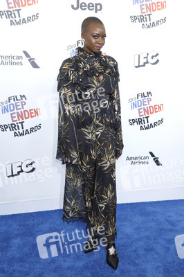 Film Independent Spirit Awards 2018 in Santa Monica