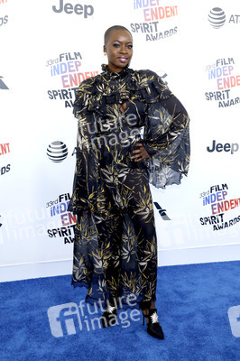 Film Independent Spirit Awards 2018 in Santa Monica
