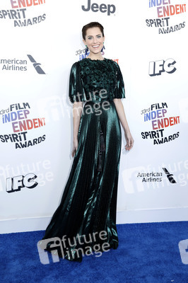 Film Independent Spirit Awards 2018 in Santa Monica