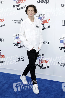 Film Independent Spirit Awards 2018 in Santa Monica