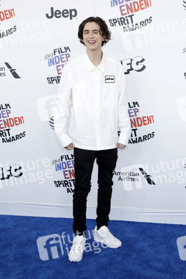 Film Independent Spirit Awards 2018 in Santa Monica