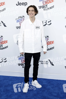 Film Independent Spirit Awards 2018 in Santa Monica